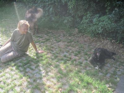 5 cuccioli 02