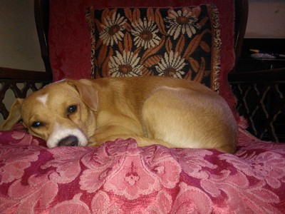Ardie 05