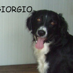 Giorgio 15 settembre 2012 045b