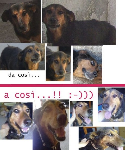 Lacrima prima e dopo
