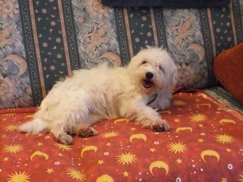 Minnie 25 - 11-2010 - 00010
