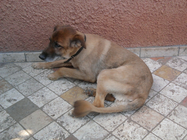 Re Artu' 02