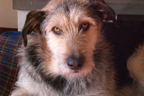 Zaza' 01