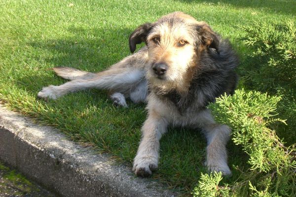 Zaza' 02