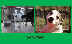 saturno1