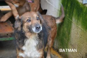 BATMAN 30 CON NOME