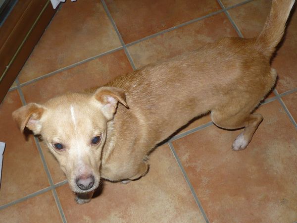 Candido 02