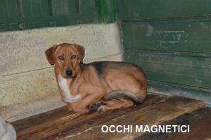 OCCHI MAGNETICI 30