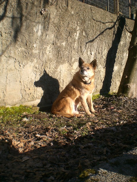 Solitario 02