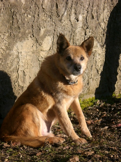 Solitario 03