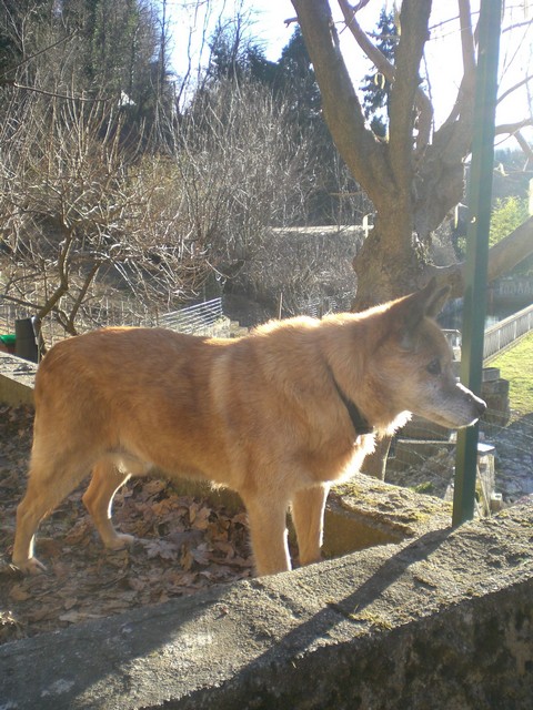 Solitario 04
