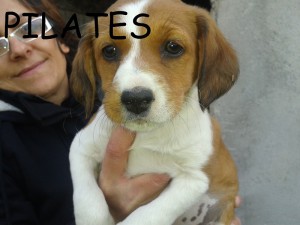 PILATES