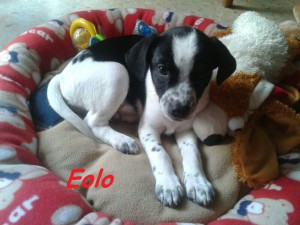 eolo