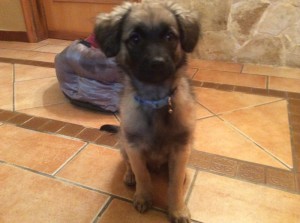 foto 5 (2)