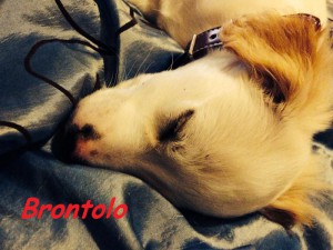 foto postad4
