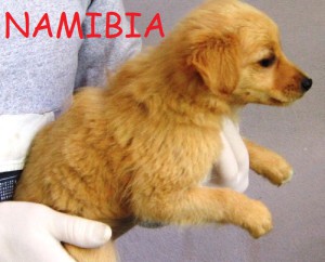 namibia