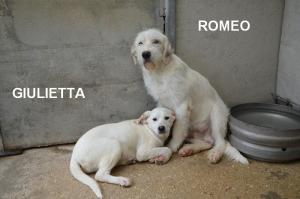 GIIULIETTA E ROMEO