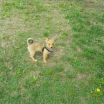 IMG-20150615-WA0003