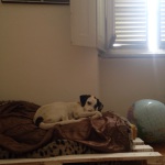 IMG-20150707-WA0003