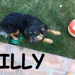 LILLY