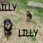 MILLYLILLY1