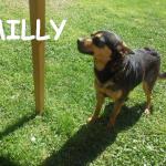 MILLYjpg