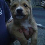 ROCCO (12)