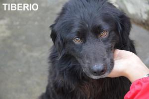 TIBERIO ON NOME
