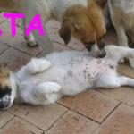 Tata5