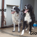 Schermata 2016-03-16 alle 13.56.56