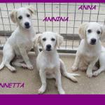 ANNA ANNINA ANNETTA