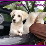 ANNA ANNINA ANNETTA (2)