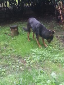 IMG-20151018-WA0003