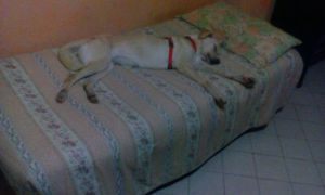 IMG-20151107-WA0022