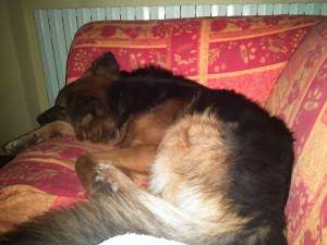 IMG-20151107-WA0042