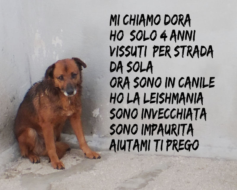 6 aprile 2016 461