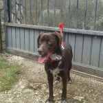 IMG-20160111-WA0005