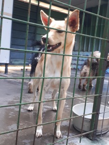 FLORINDA (4)