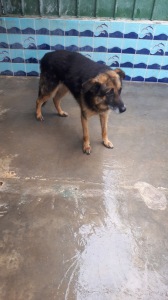 BEN (8)