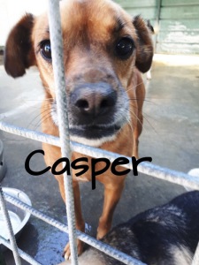 CASPER