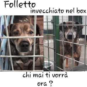 IMG-20190105-WA0002