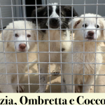 Schermata 2016-05-05 alle 15.10.55