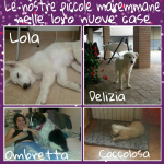 Schermata 2016-06-05 alle 19.38.29