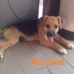 rocchina