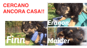 Schermata 2016-11-10 alle 14.04.01