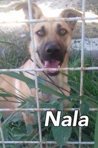 nala