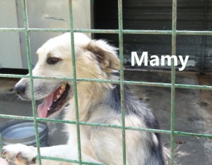 Mamy con nome