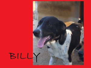 billy
