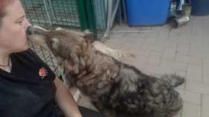 IMG-20180913-WA0010