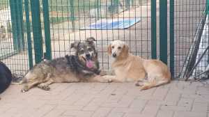 IMG-20180913-WA0011